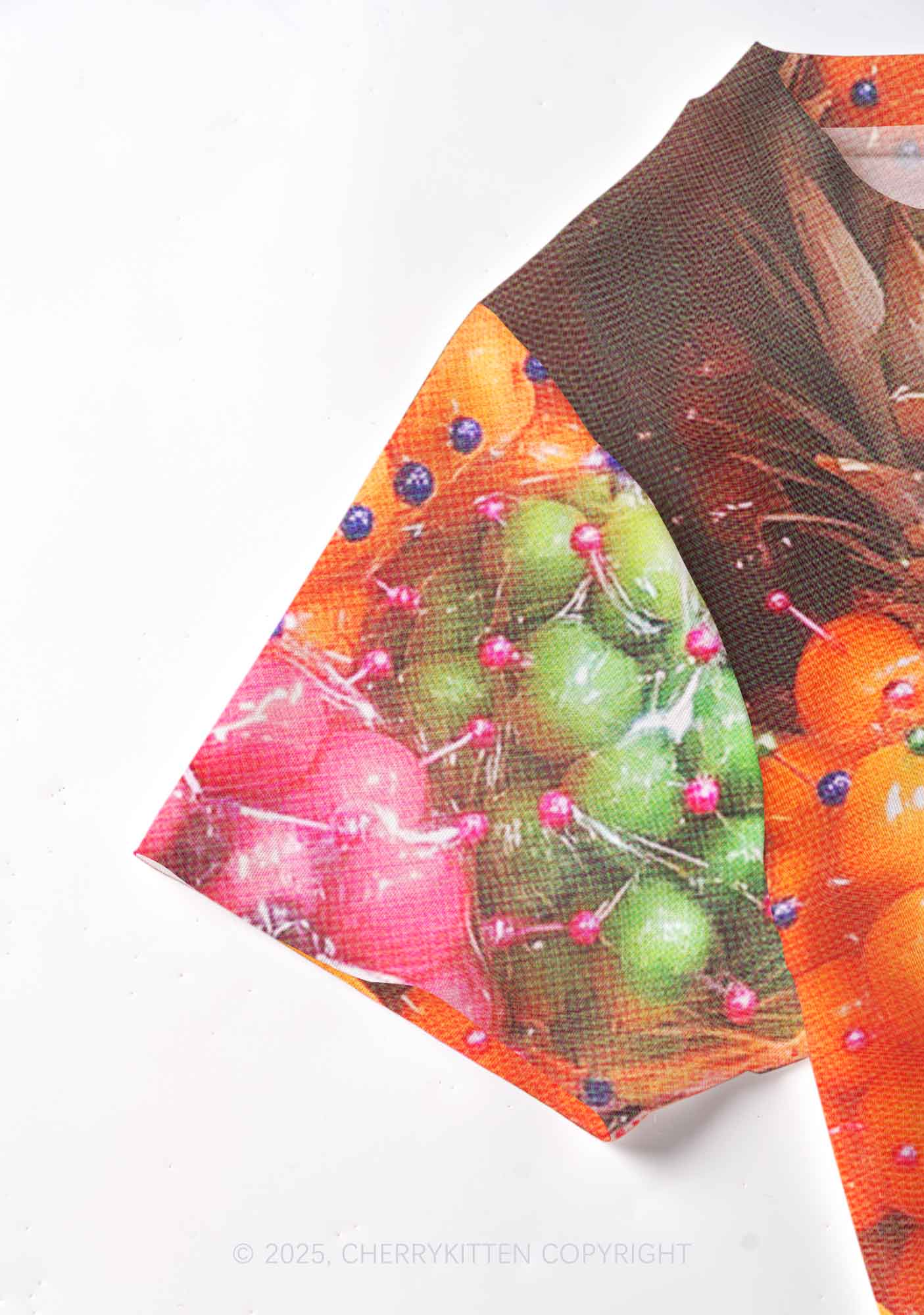 Bisexual Fruit Pride Y2K Mesh Crop Top Cherrykitten