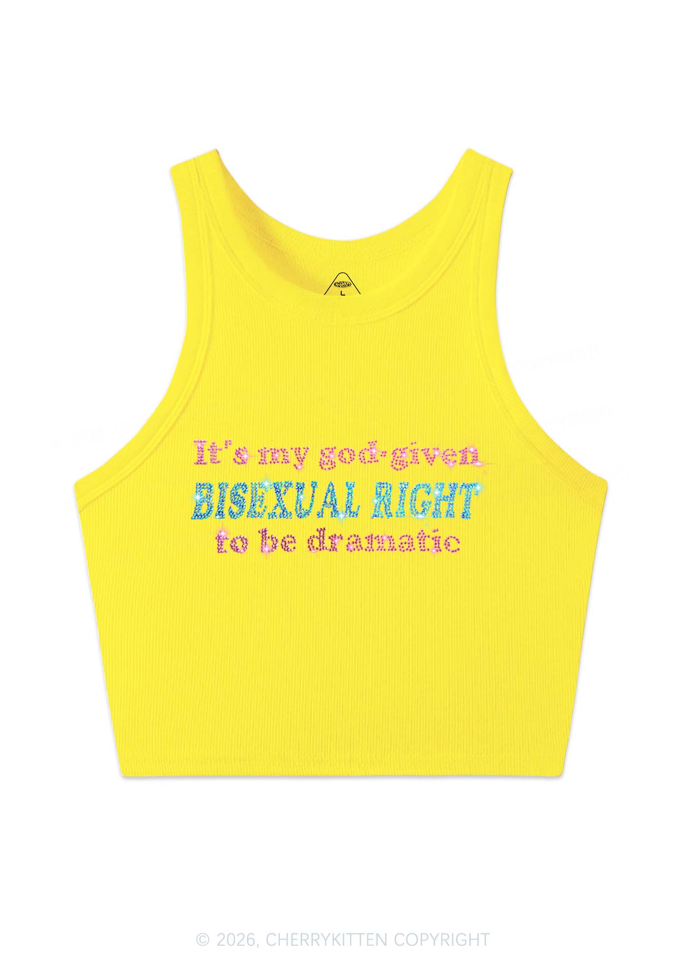 Rhinestone God Given Bisexual Right Pride Y2K Crop Tank Top Cherrykitten