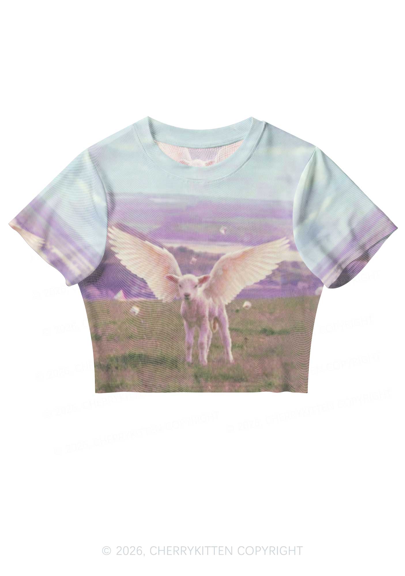 Angel Wing Lamb Y2K Mesh Crop Top Cherrykitten