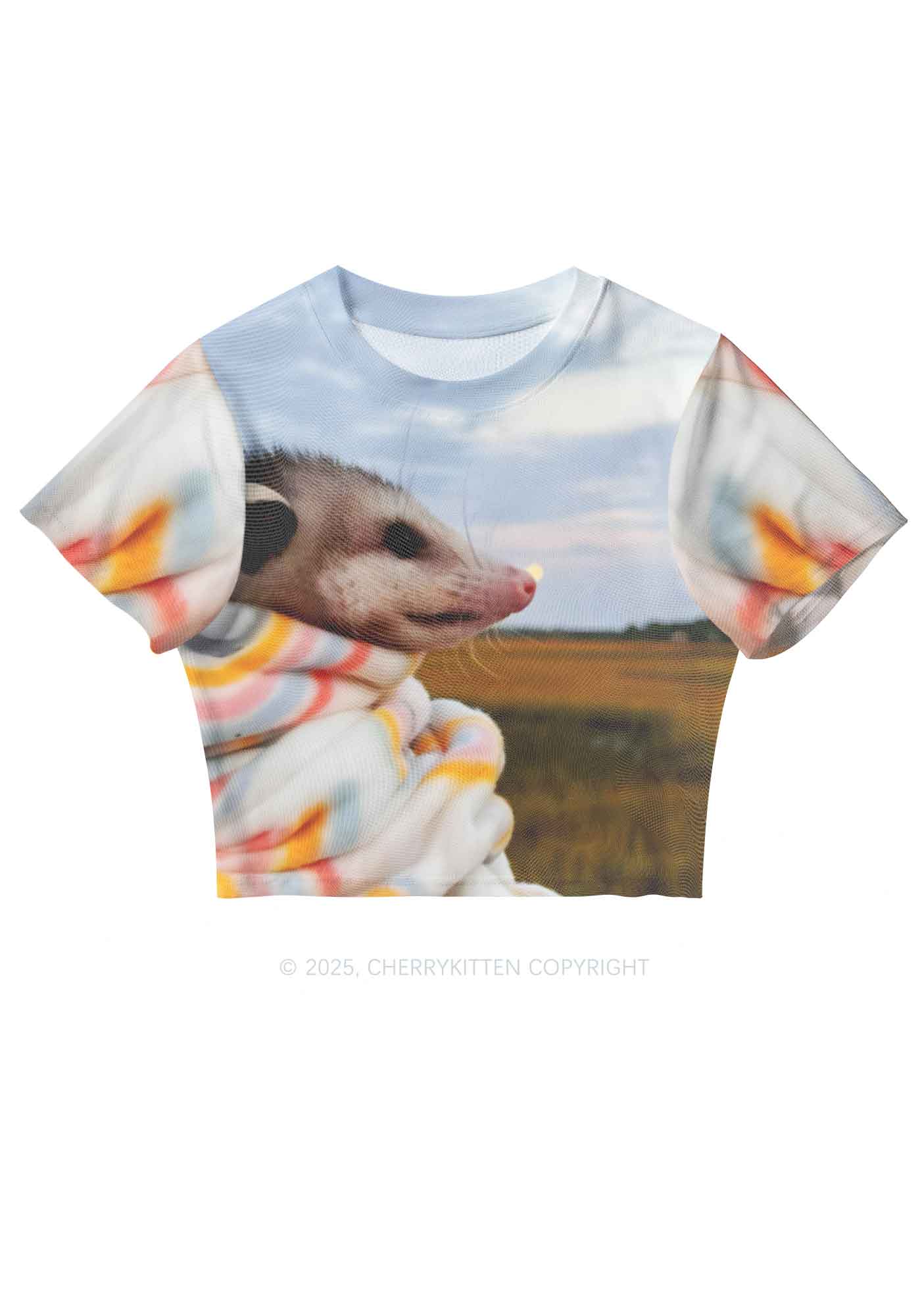 Cold Rat Y2K Mesh Crop Top Cherrykitten