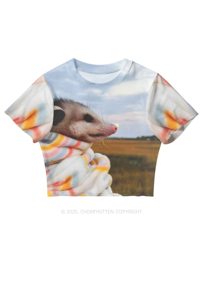 Cold Rat Y2K Mesh Crop Top Cherrykitten