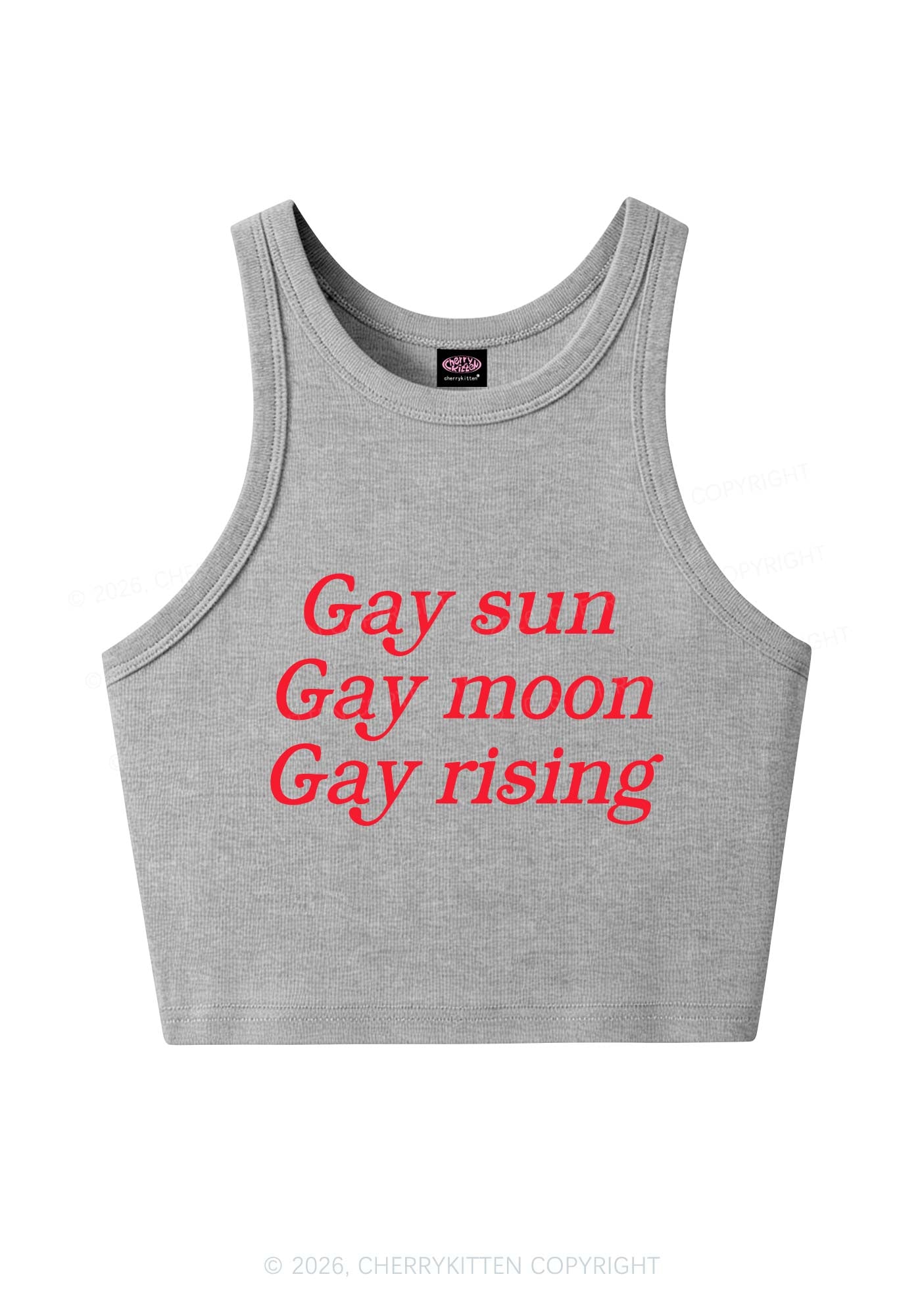 Gay Sun Moon Rising Pride Y2K Crop Tank Top Cherrykitten