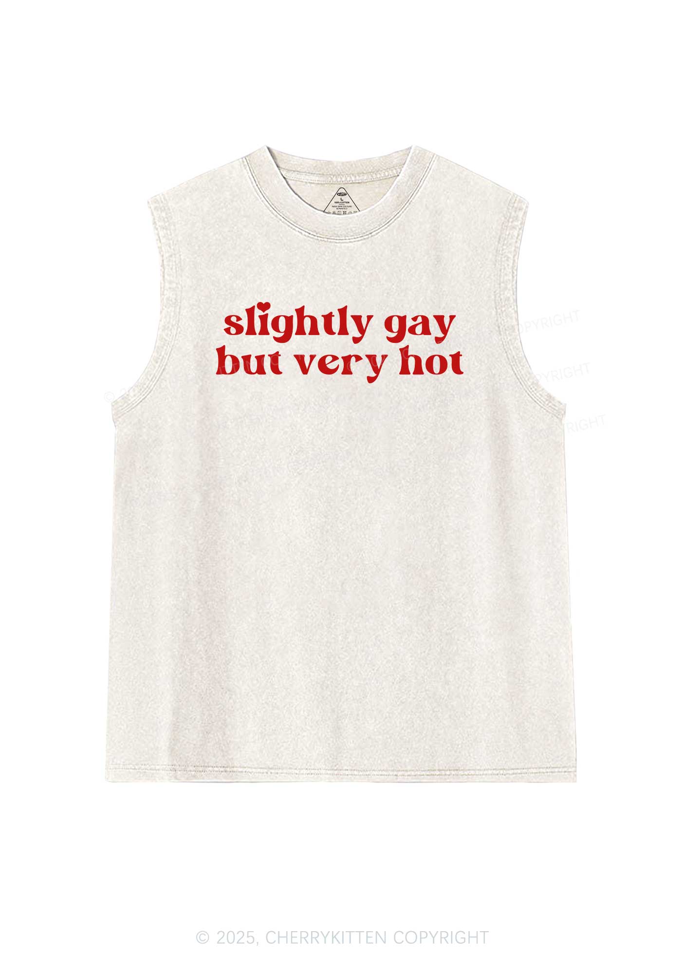 Slightly Gay But Very Hot Pride Y2K Washed Muscle Tank Cherrykitten
