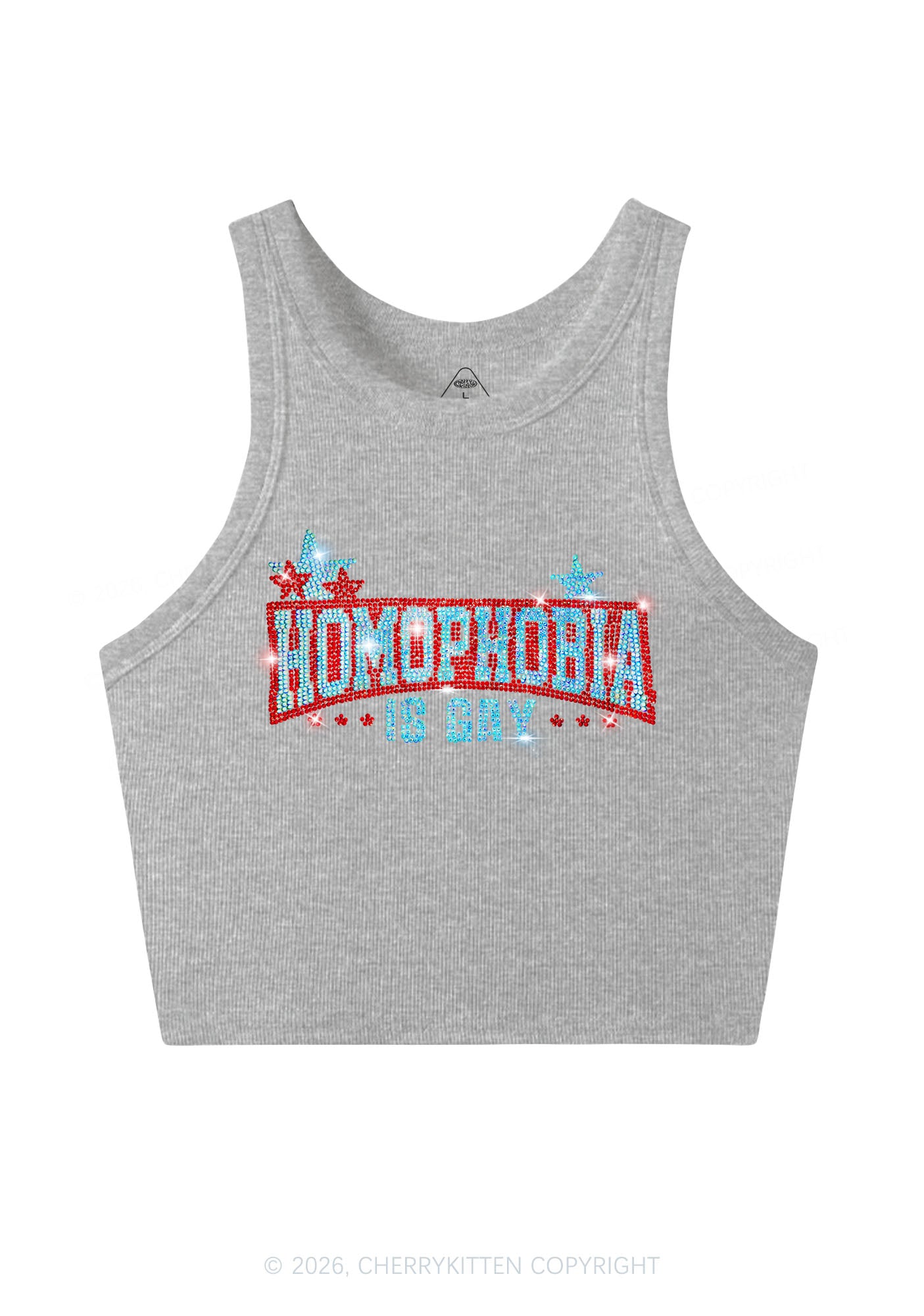 Rhinestone Homophobia Is Gay Pride Y2K Crop Tank Top Cherrykitten
