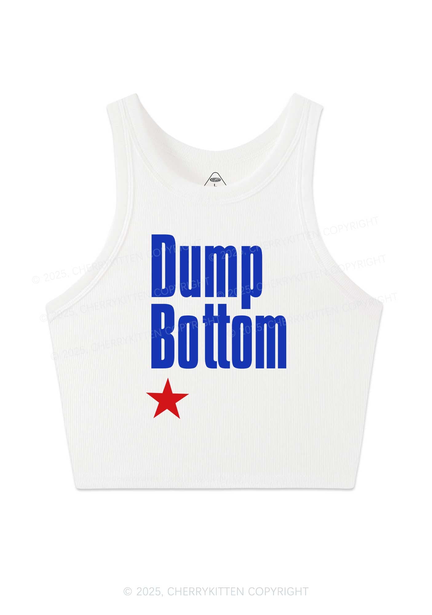 Dump Bottom Pride Y2K Crop Tank Top Cherrykitten