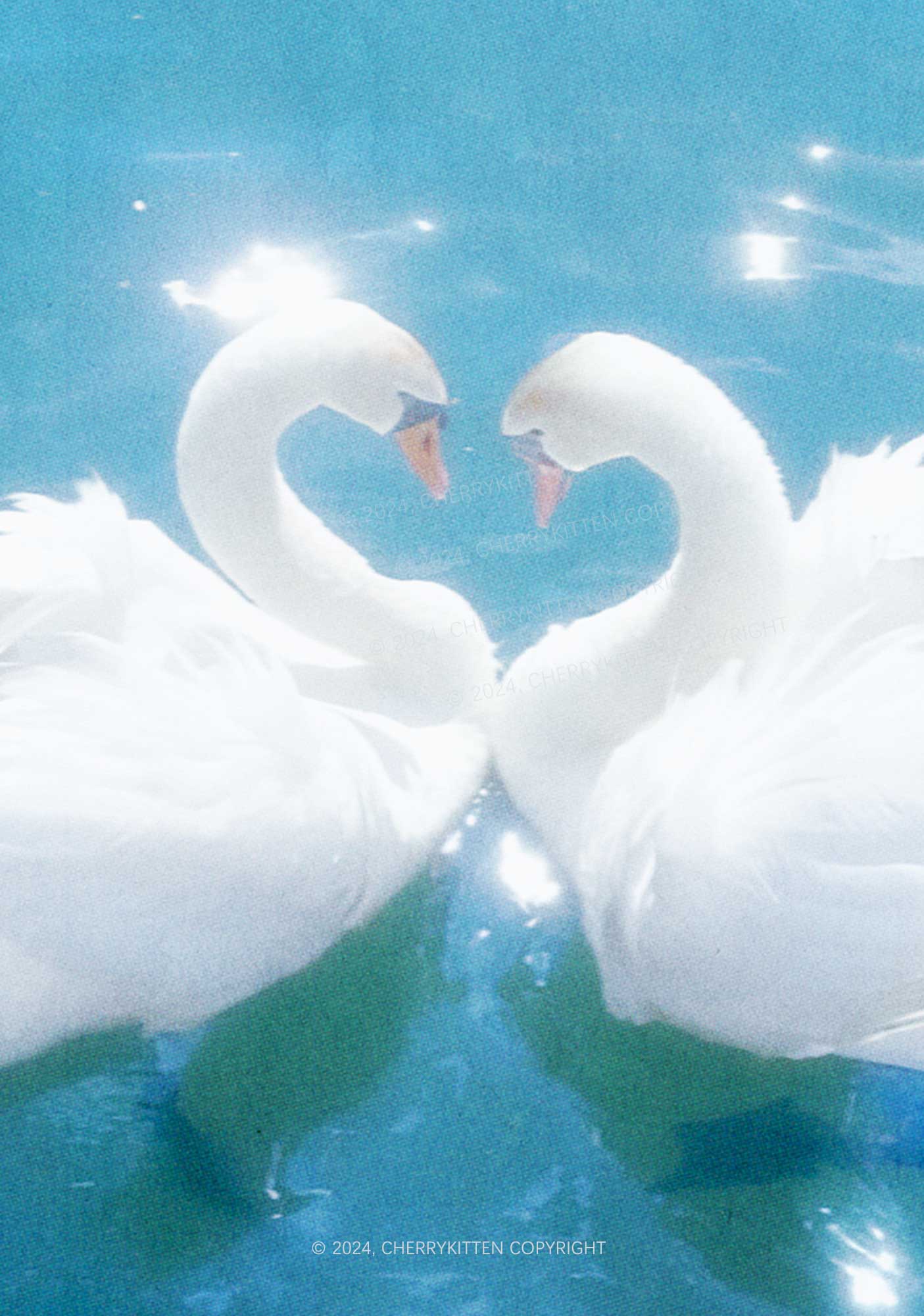 Swan Lovers Y2K Phone Case Cherrykitten