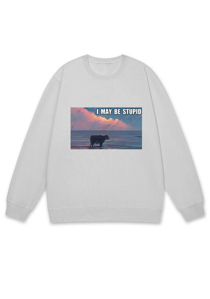 I May Be Stupid Meme Y2K Sweatshirt