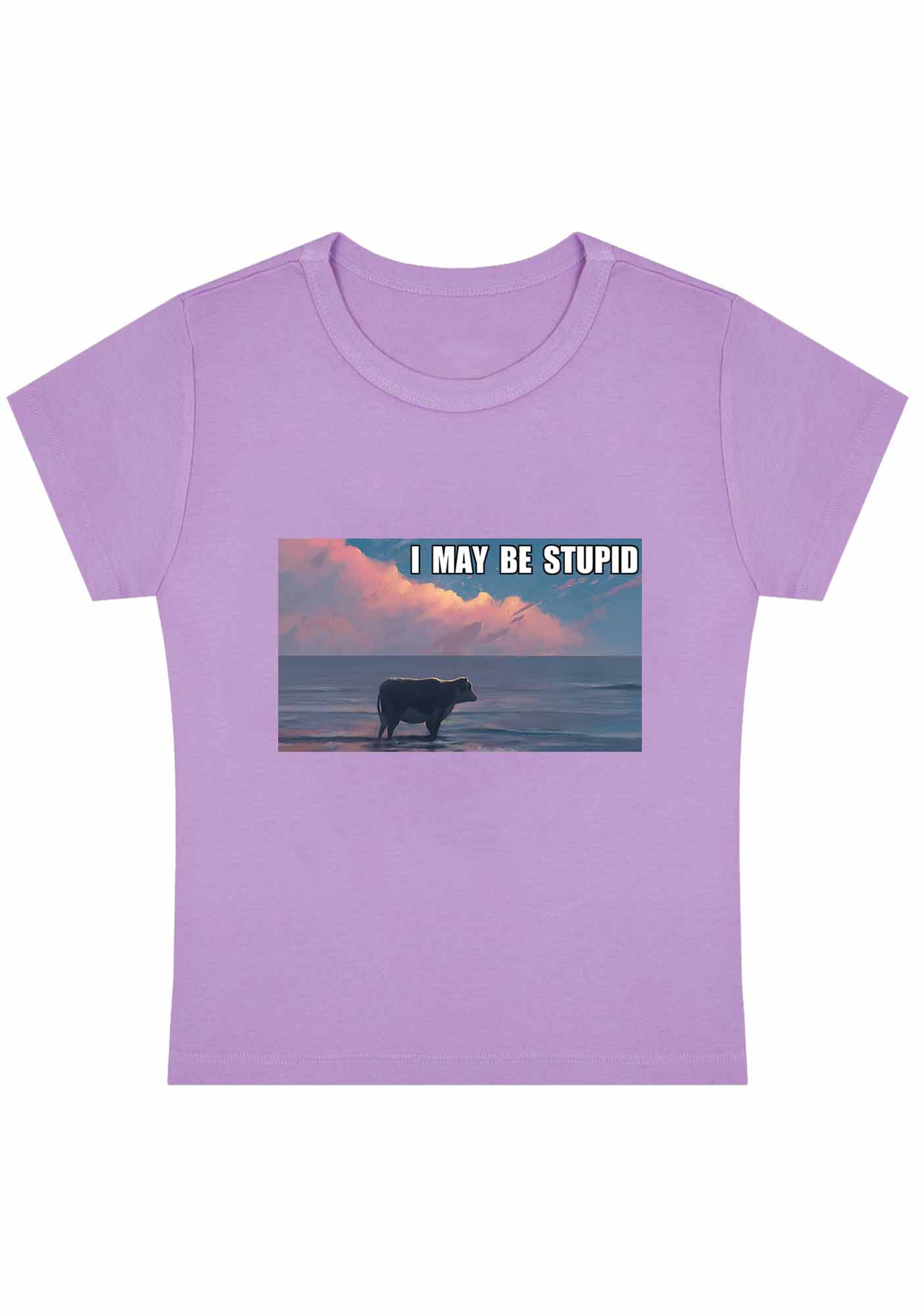 Curvy I May Be Stupid Meme Baby Tee