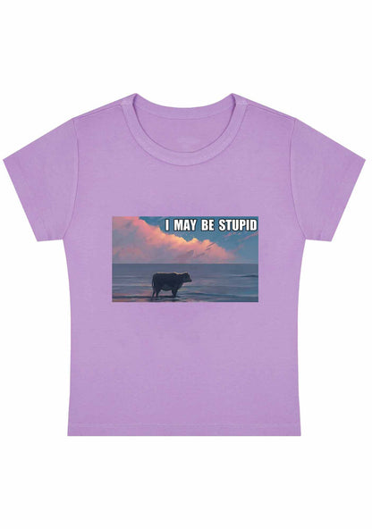 Curvy I May Be Stupid Meme Baby Tee