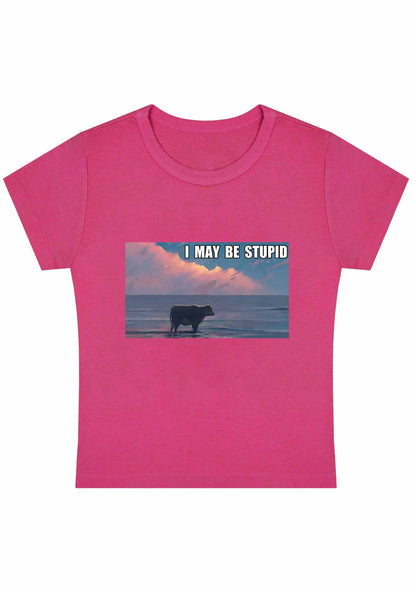 Curvy I May Be Stupid Meme Baby Tee