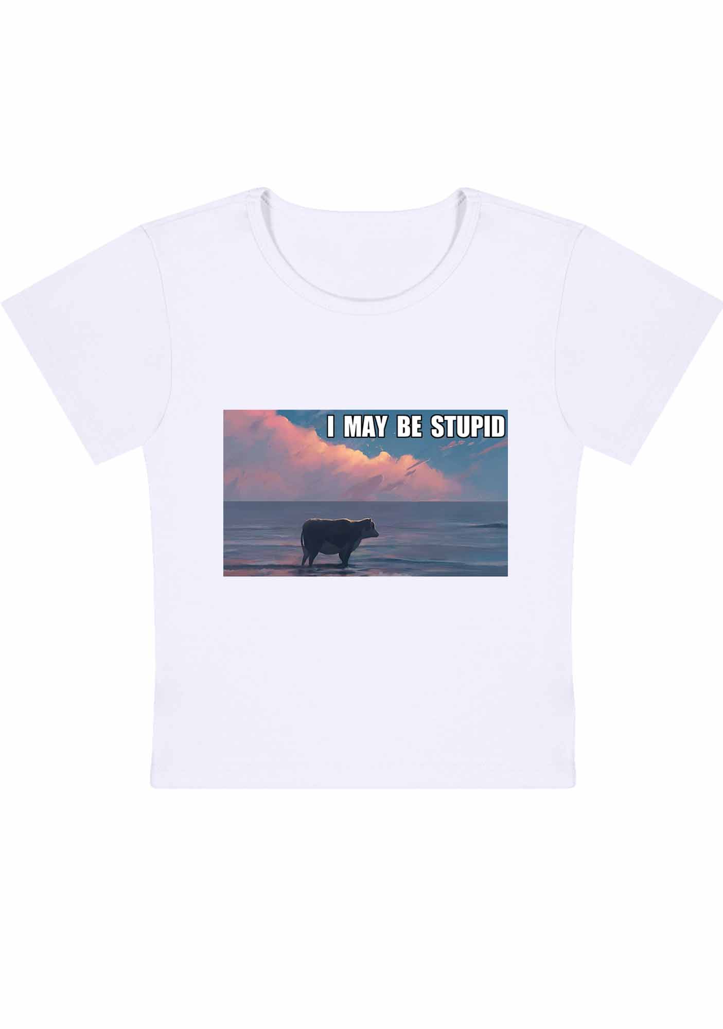 Curvy I May Be Stupid Meme Baby Tee