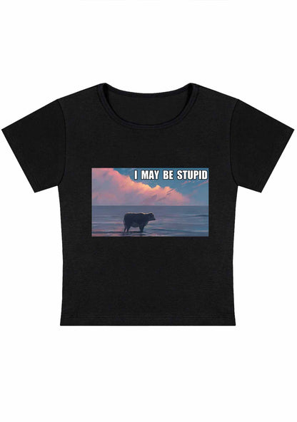 Curvy I May Be Stupid Meme Baby Tee
