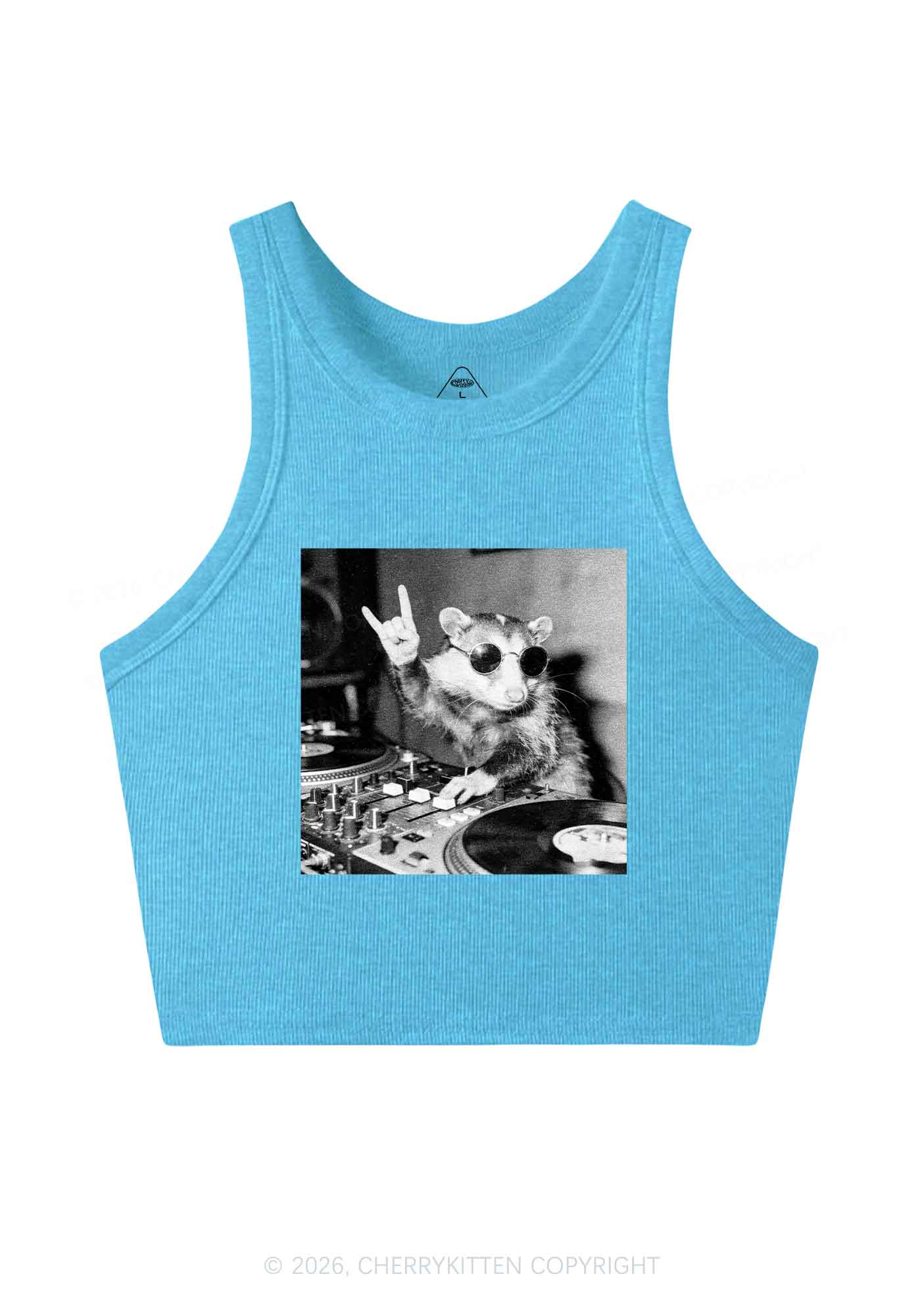 DJ Possum Y2K Crop Tank Top Cherrykitten
