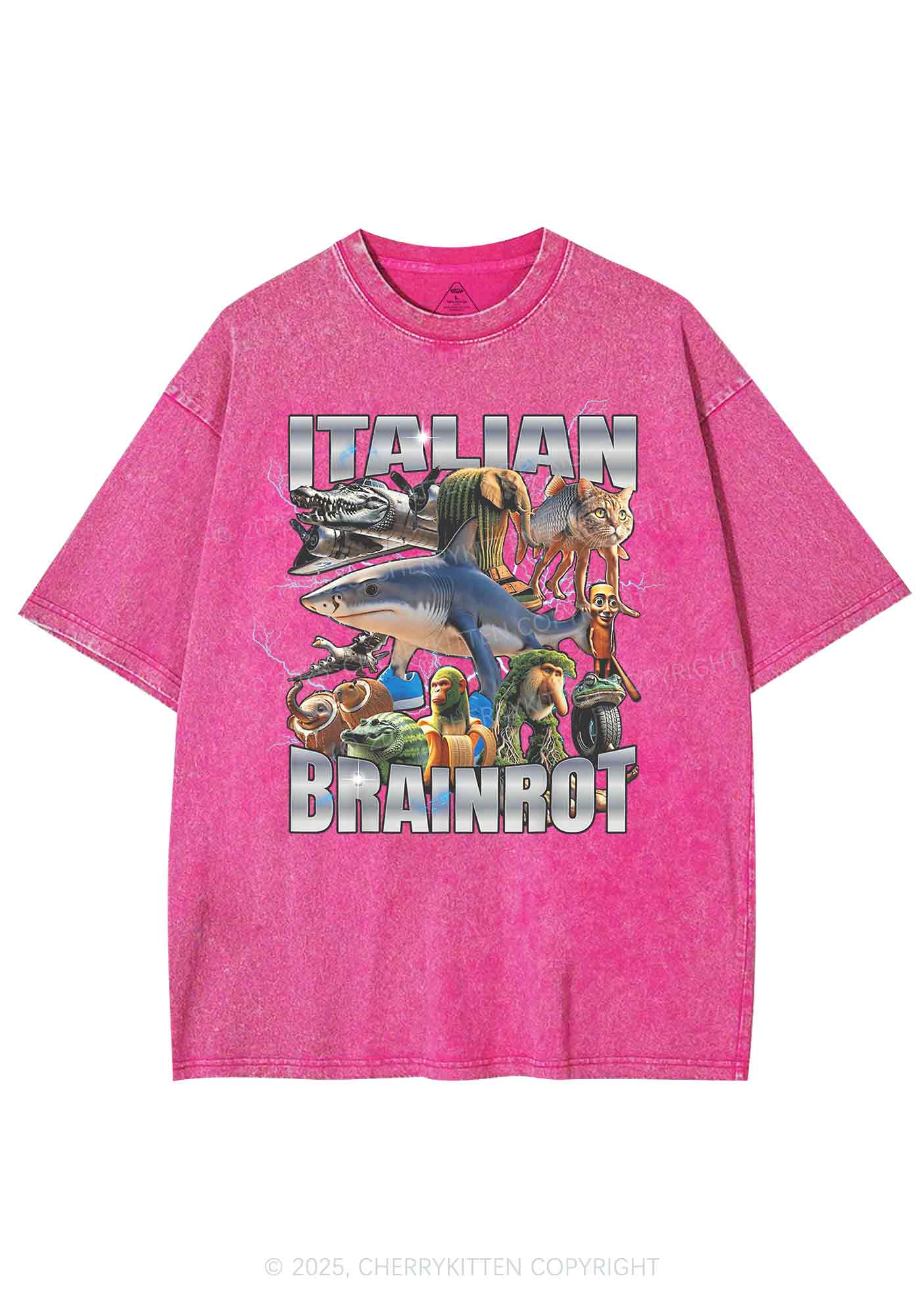 Italian Brainrot Collection Y2K Shirts Washed Tee Cherrykitten