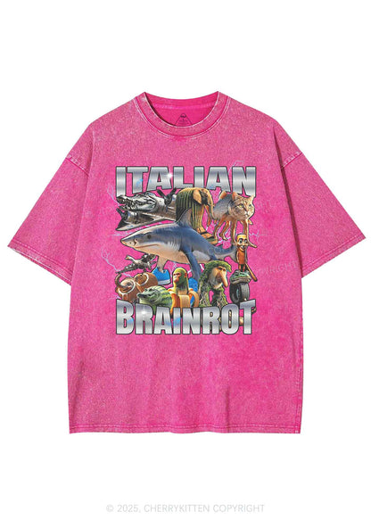Italian Brainrot Collection Y2K Shirts Washed Tee Cherrykitten