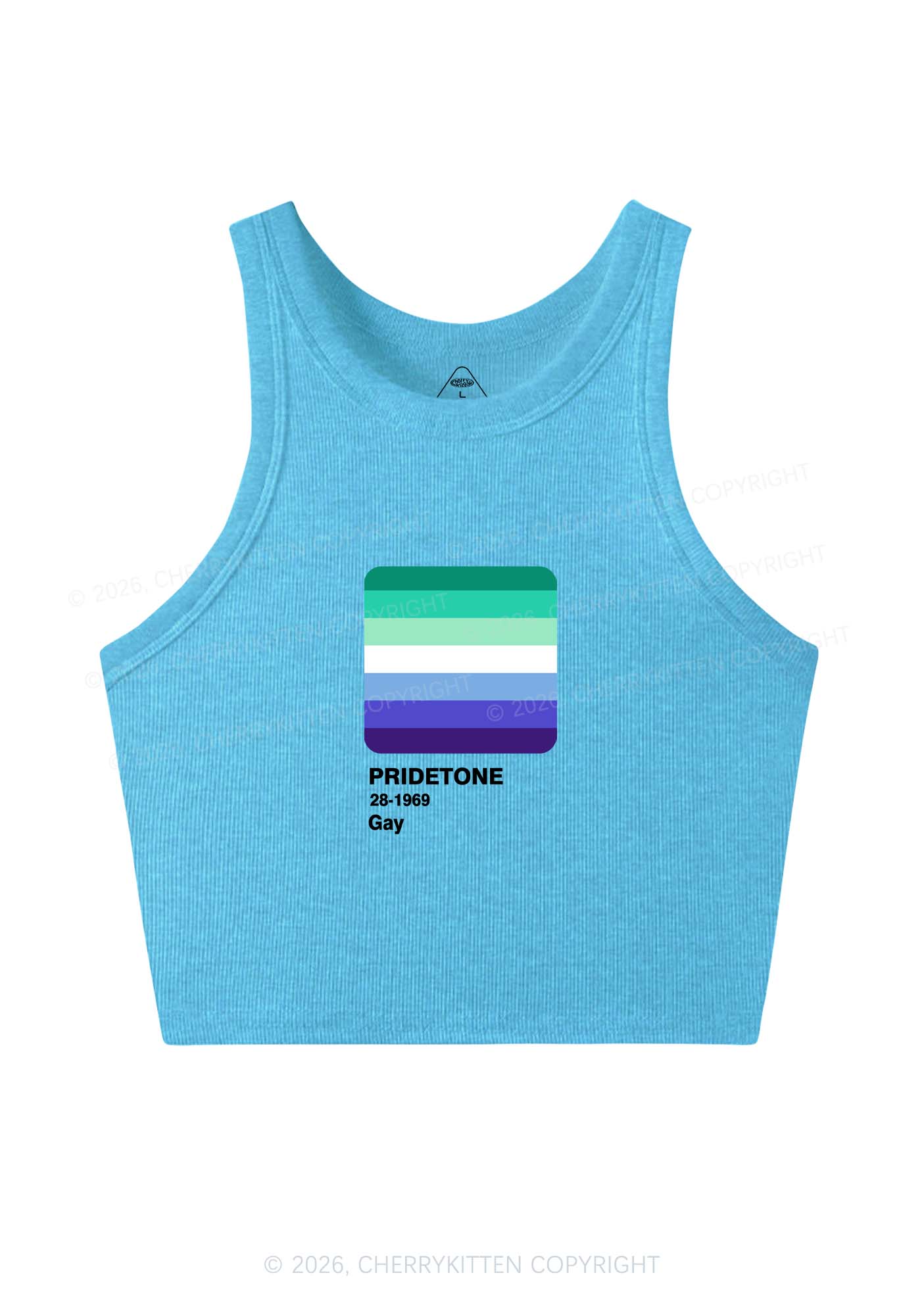 Pridetone Gay Pride Y2K Crop Tank Top Cherrykitten