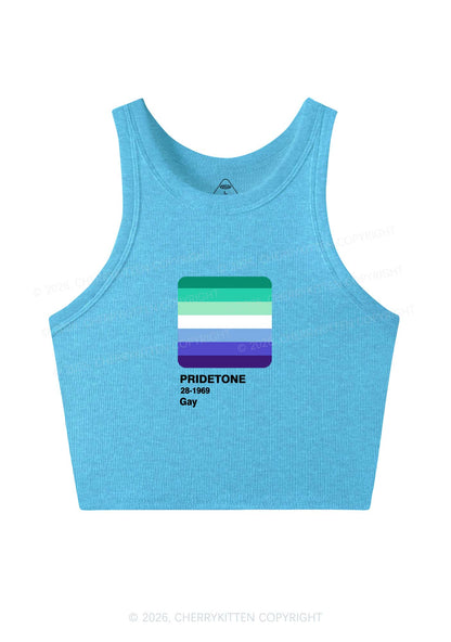 Pridetone Gay Pride Y2K Crop Tank Top Cherrykitten