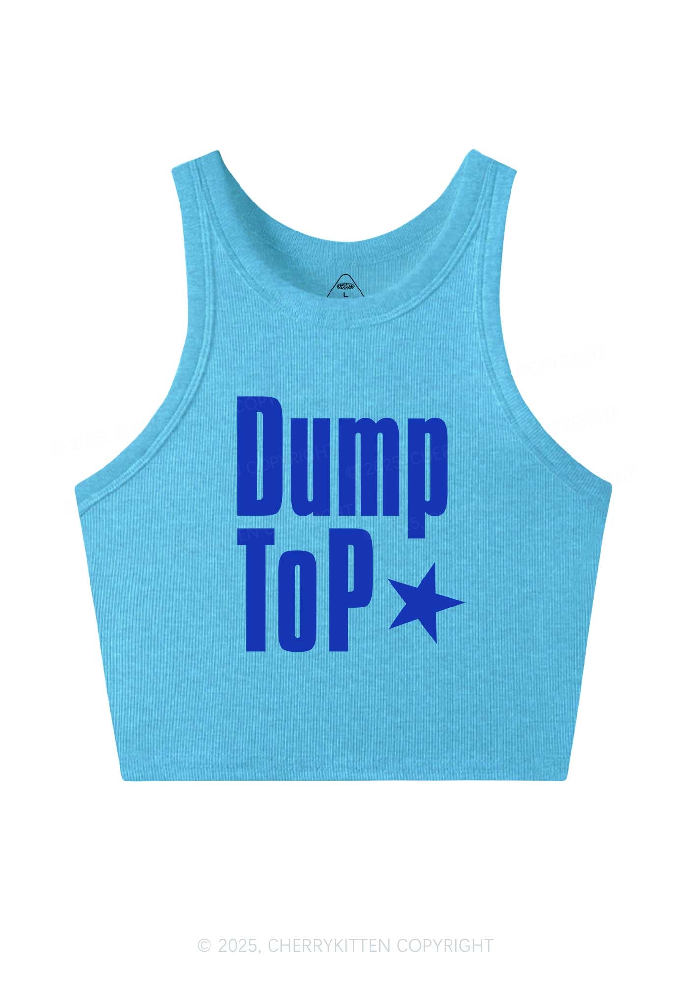 Dump Top Pride Y2K Crop Tank Top Cherrykitten