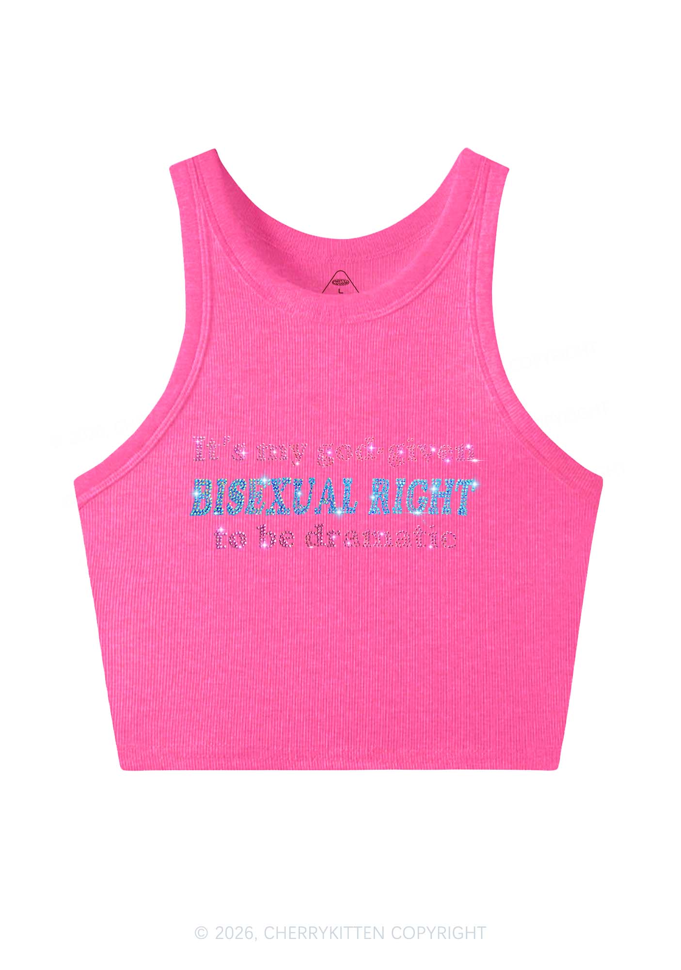 Rhinestone God Given Bisexual Right Pride Y2K Crop Tank Top Cherrykitten