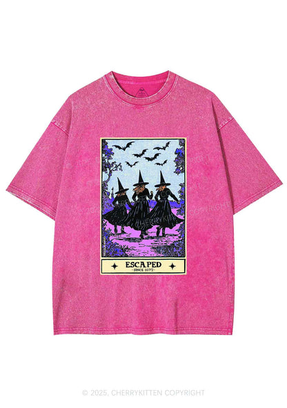 Halloween Escaped Witch Y2K Shirts Washed Tee Cherrykitten