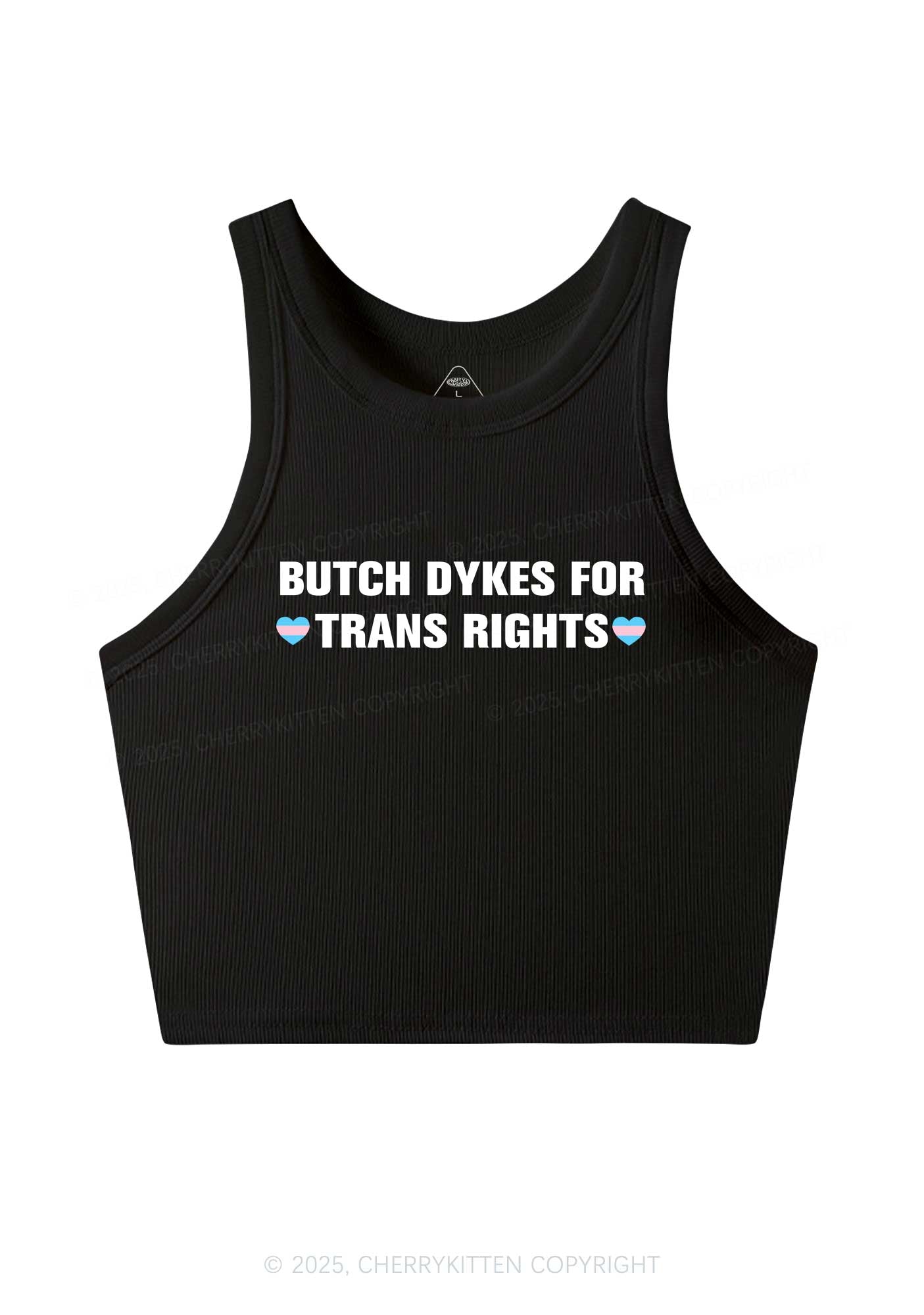 Butch Dykes For Trans Rights Y2K Crop Tank Top Cherrykitten