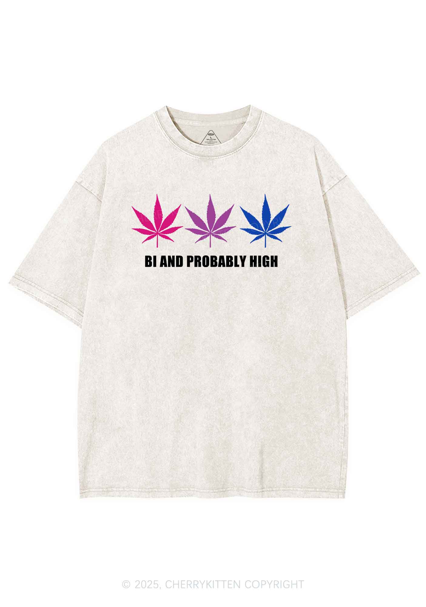 Bi Probably High Pride Y2K Shirts Washed Tee Cherrykitten