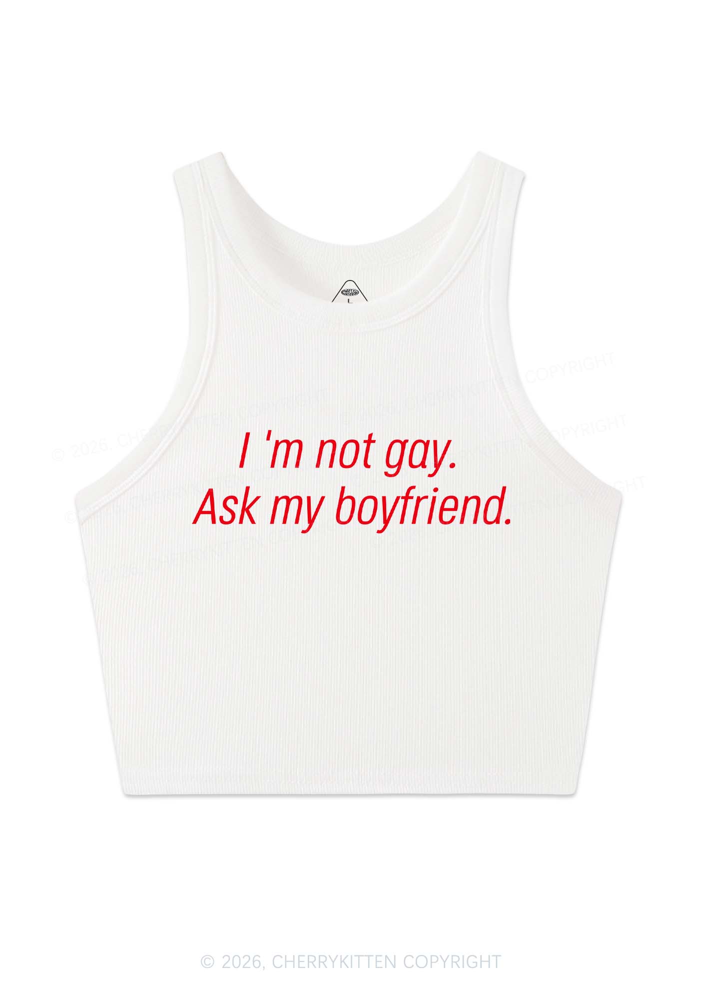 Im Not Gay Pride Y2K Crop Tank Top Cherrykitten