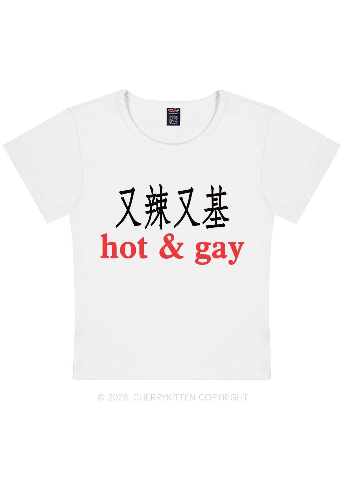 Hot Gay Pride Y2K Baby Tee Cherrykitten