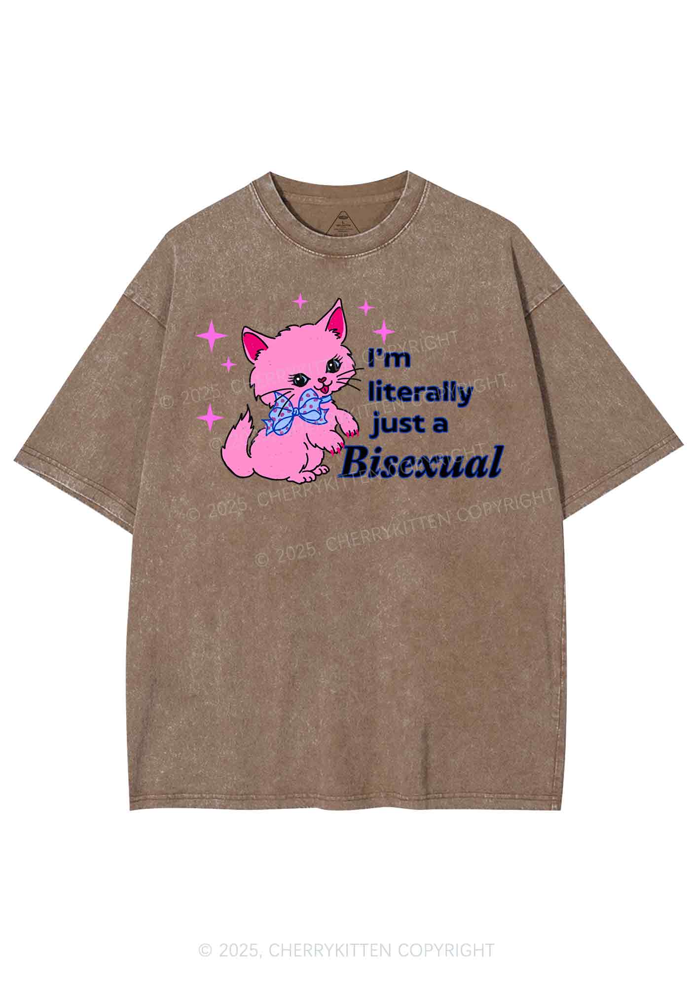 Literally Just A Bisexual Pride Y2K Shirts Washed Tee Cherrykitten