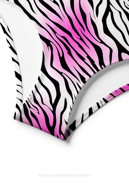 Gradient Pink Zebra Stripe Y2K Print Bikini Set Cherrykitten