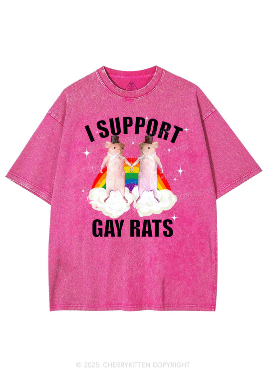 Support Gay Rats Pride Y2K Shirts Washed Tee Cherrykitten
