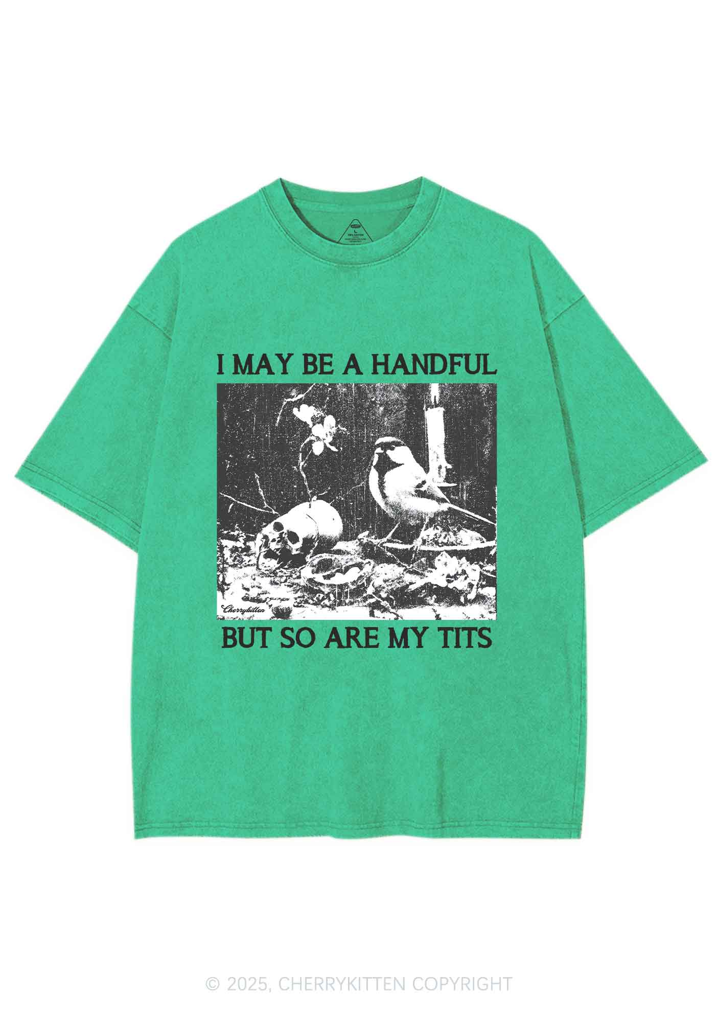 Halloween I May Be A Handful Y2K Shirts Washed Tee Cherrykitten