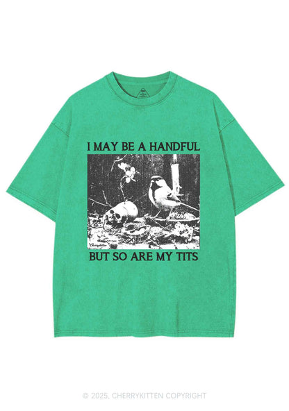 Halloween I May Be A Handful Y2K Shirts Washed Tee Cherrykitten