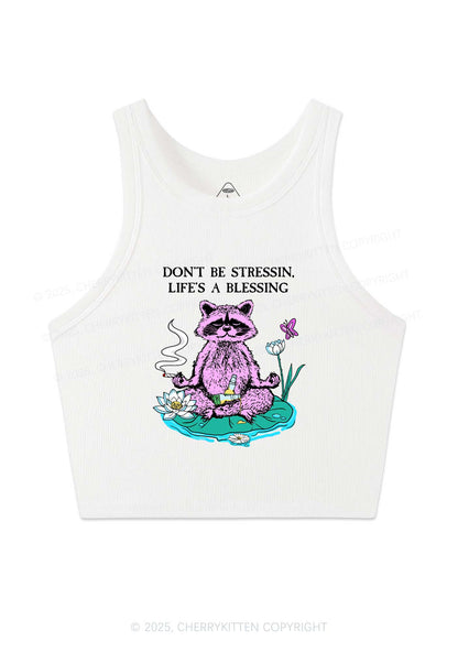 Dont Stress Raccoon Y2K Crop Tank Top Cherrykitten