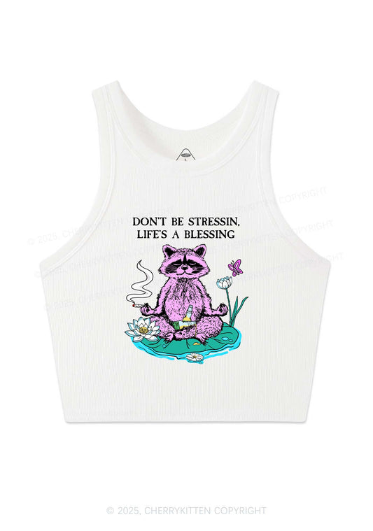 Dont Stress Raccoon Y2K Crop Tank Top Cherrykitten