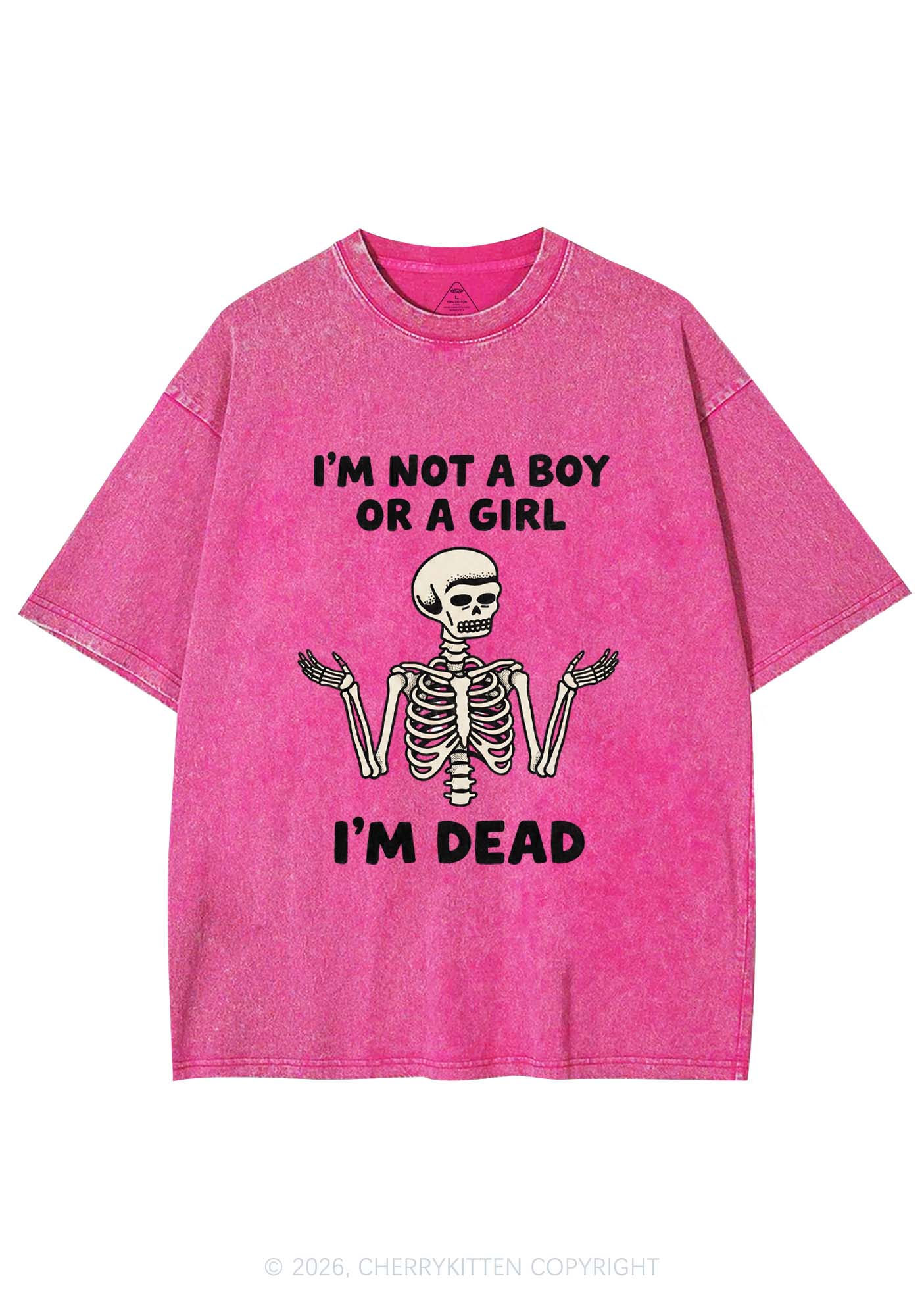 Im Not A Boy Or A Girl Pride Y2K Shirts Washed Tee Cherrykitten
