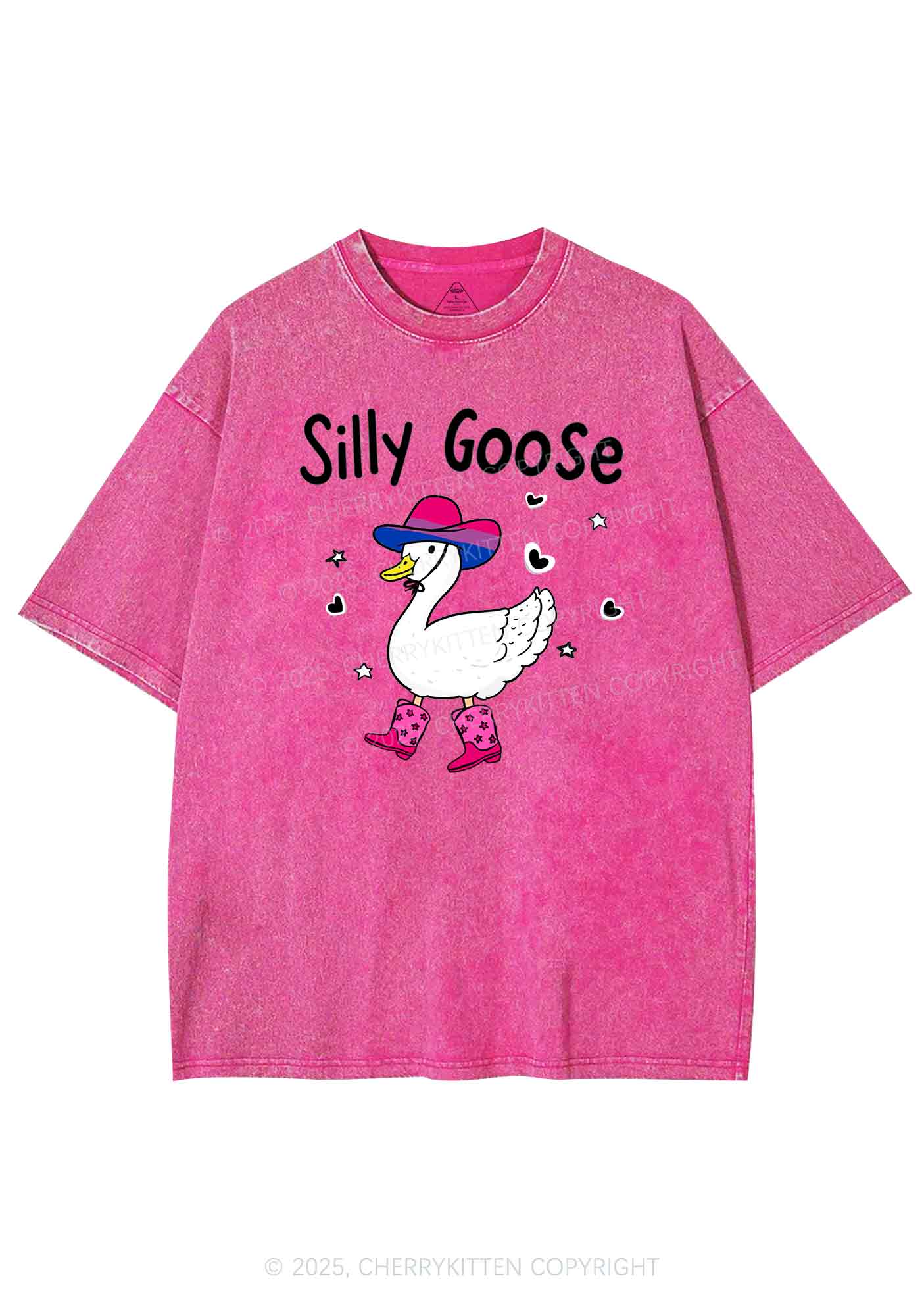 Silly Goose Bisexual Pride Y2K Shirts Washed Tee Cherrykitten