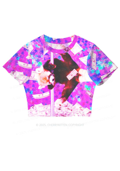 Pole Dancing Raccoon Y2K Mesh Crop Top Cherrykitten