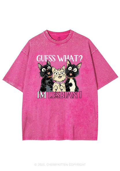 Im Lesbian Cat Pride Y2K Shirts Washed Tee Cherrykitten