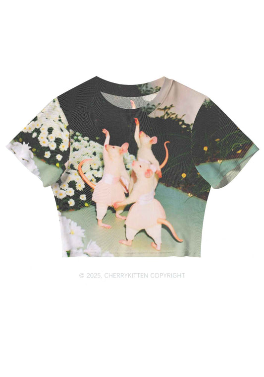 Ballet Rats Y2K Mesh Crop Top Cherrykitten
