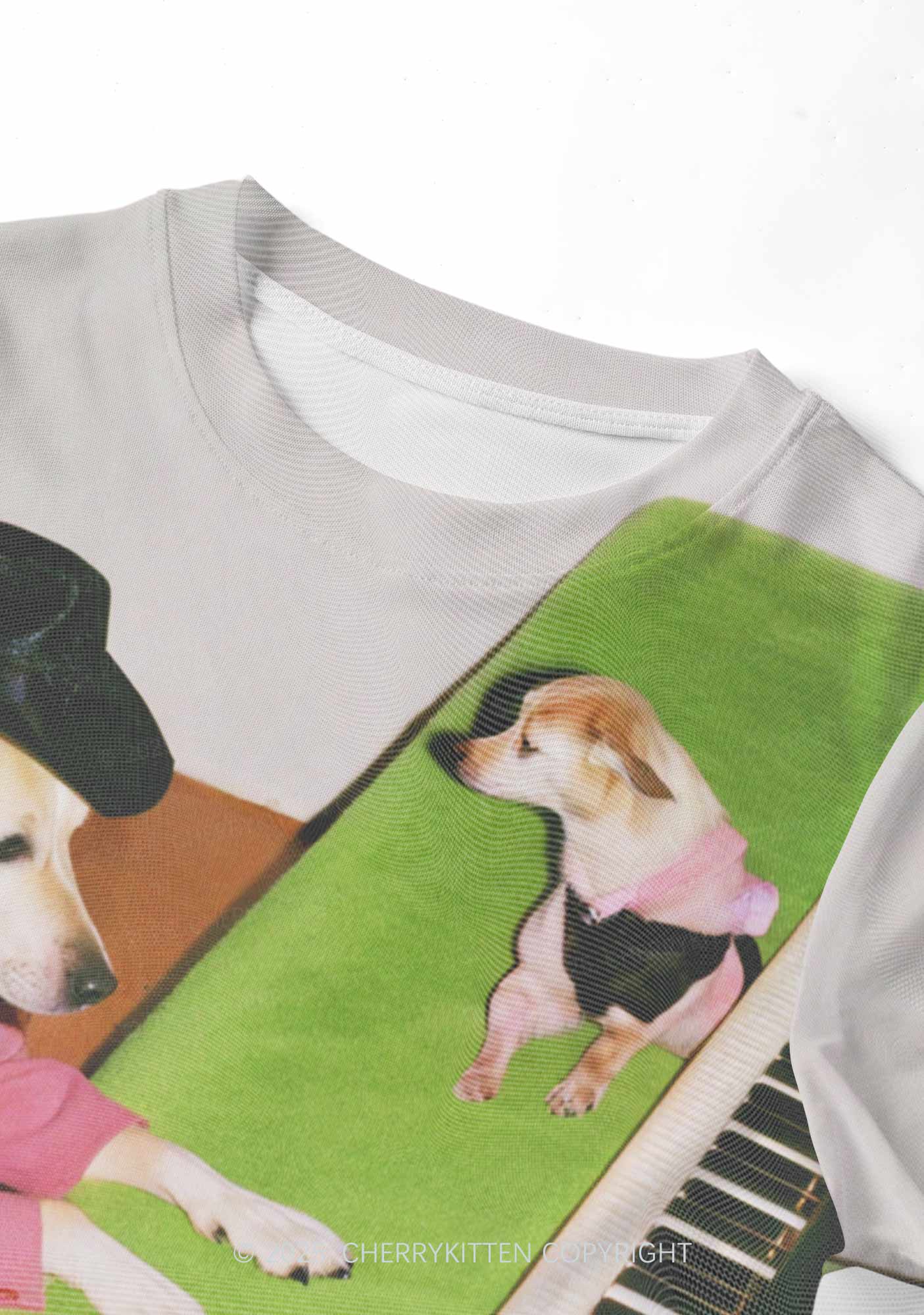 Piano Pups Y2K Mesh Crop Top Cherrykitten