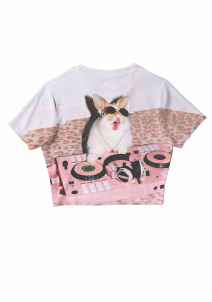 Dj Bunny Y2K Mesh Crop Top Cherrykitten