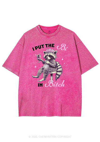 Bi Bxxch Raccoon Pride Y2K Shirts Washed Tee Cherrykitten