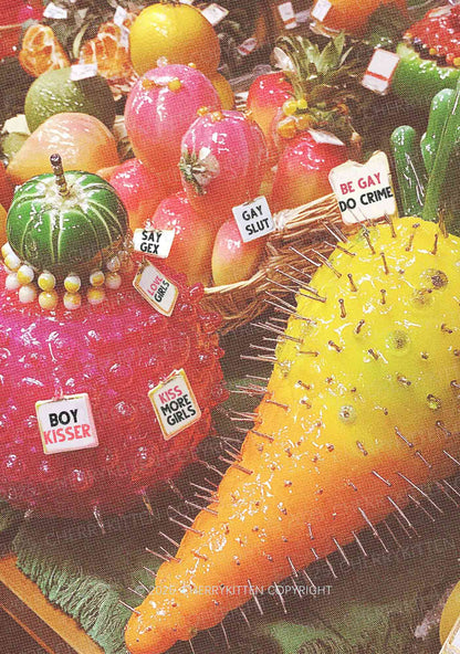 Various Fruits Pride Y2K Mesh Crop Top Cherrykitten