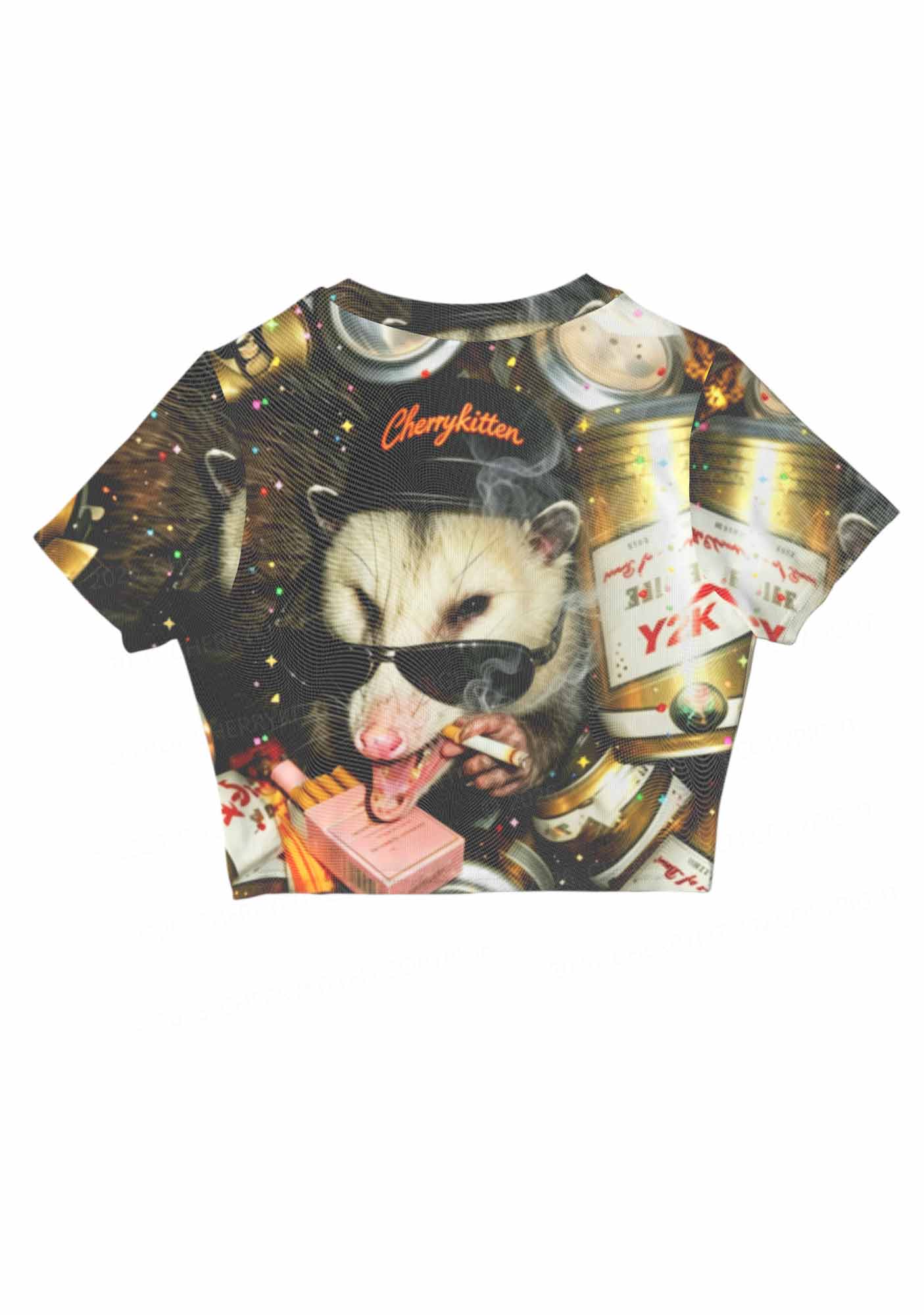 Smoking Opossum Y2K Mesh Crop Top Cherrykitten