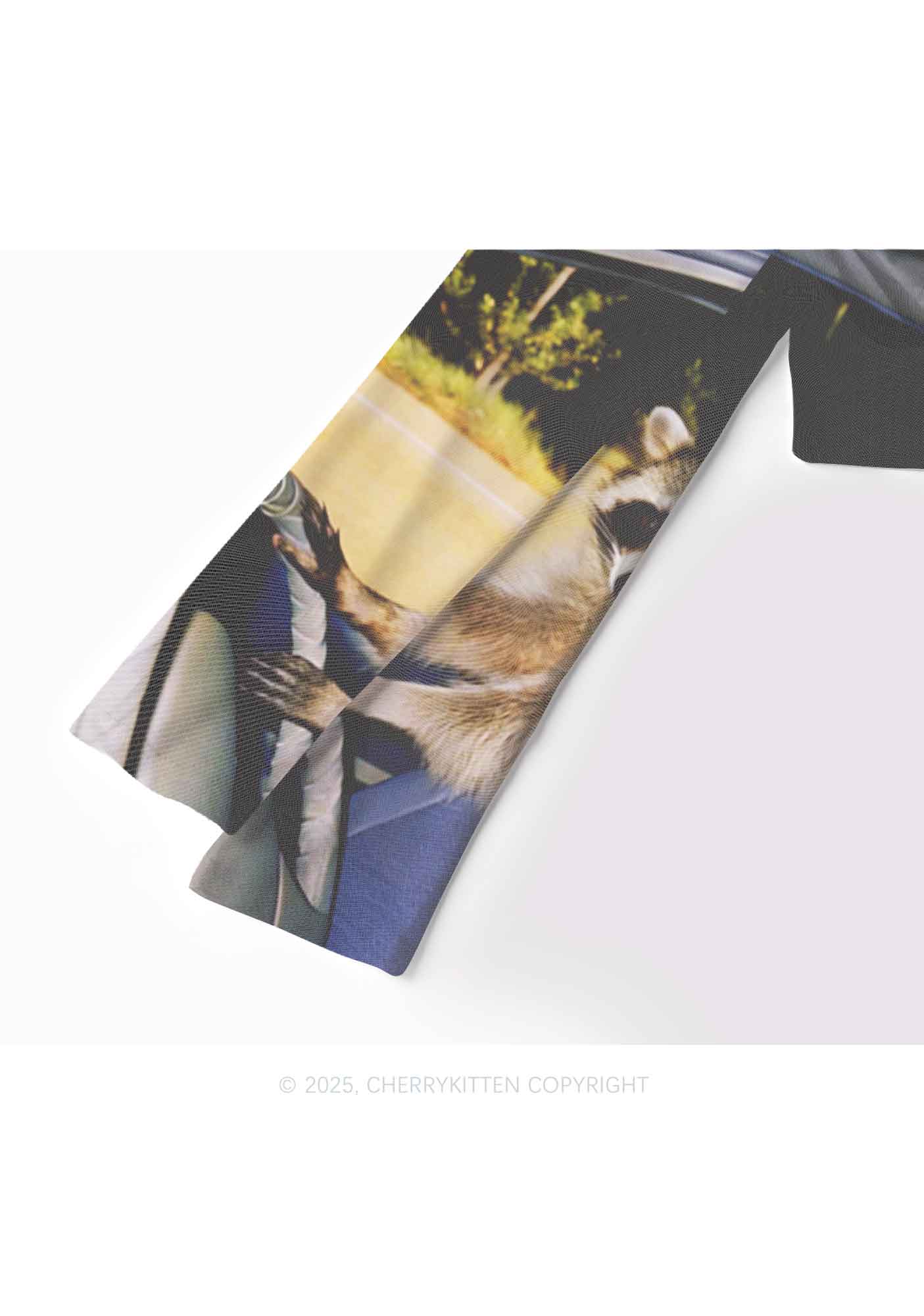 Raccoon Driver Y2K Mesh Long Sleeve Crop Top Cherrykitten