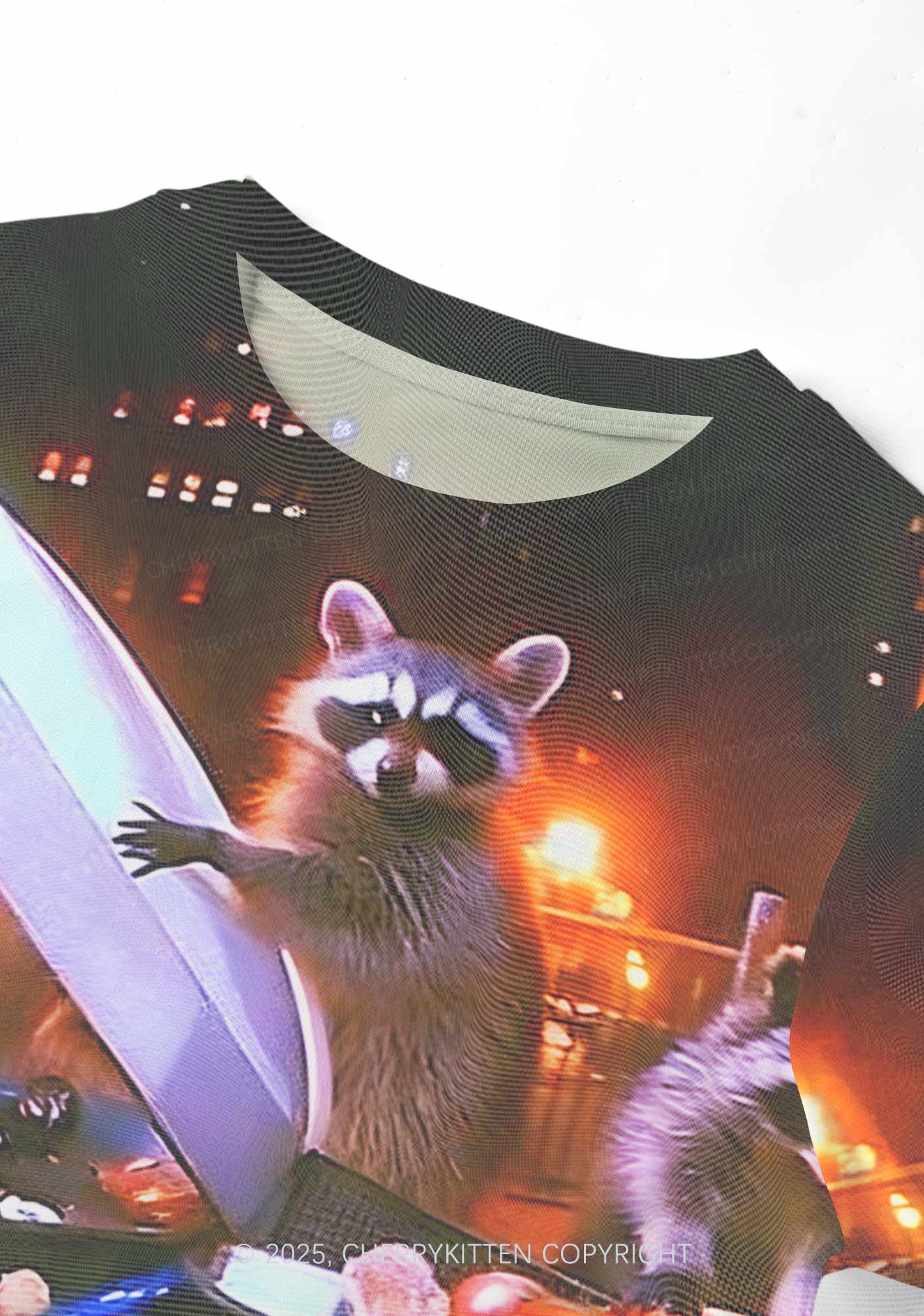 Raccoon Trash Party Y2K Mesh Crop Top Cherrykitten