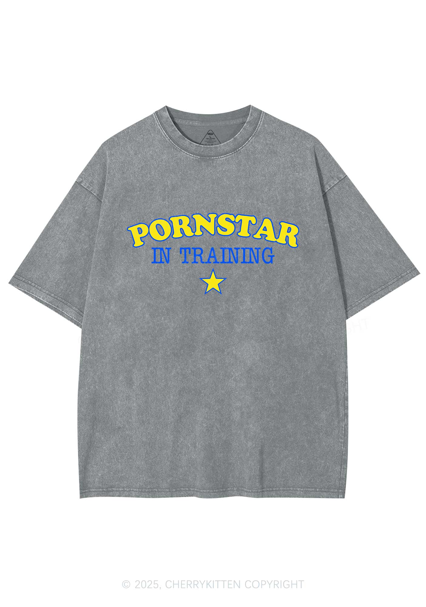 Pxrnstar In Training Y2K Shirts Washed Tee Cherrykitten