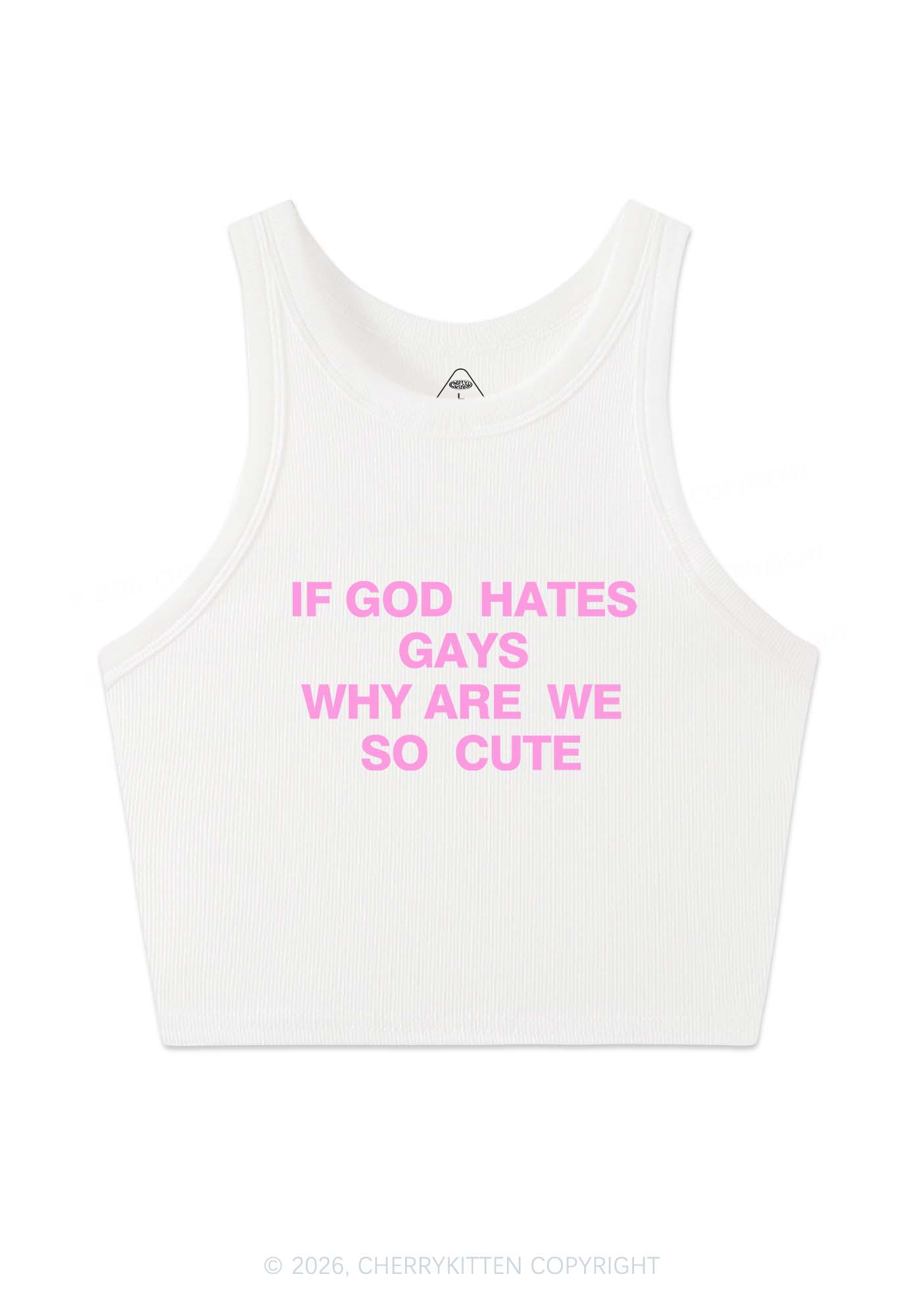 If God Hates Gays Pride Y2K Crop Tank Top Cherrykitten
