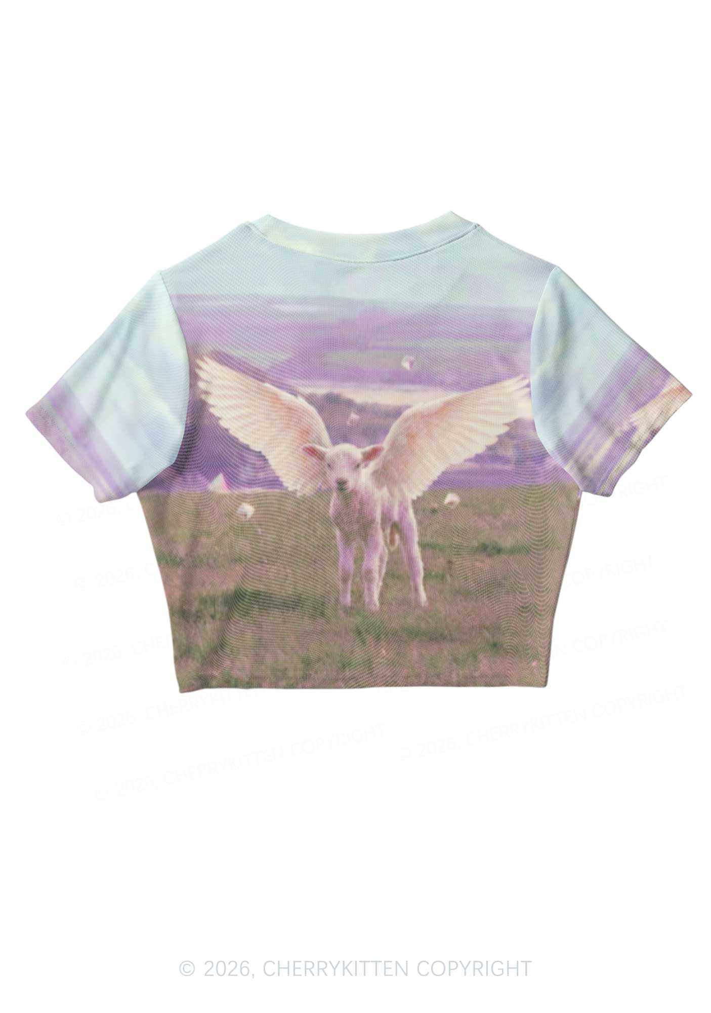 Angel Wing Lamb Y2K Mesh Crop Top Cherrykitten